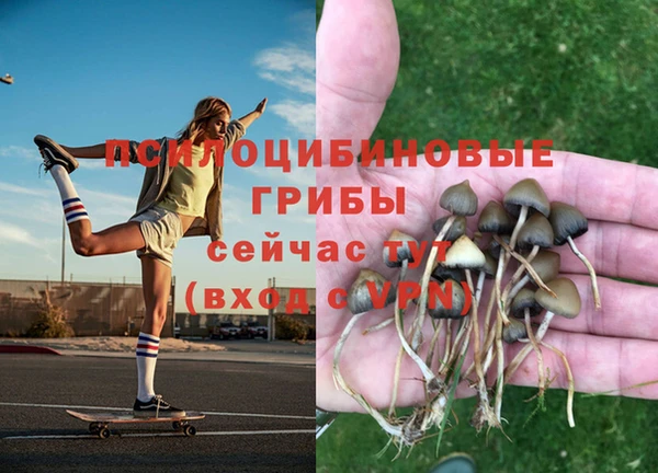 mix Богородицк