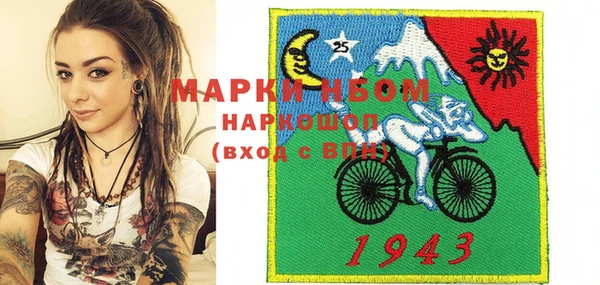 mix Богородицк