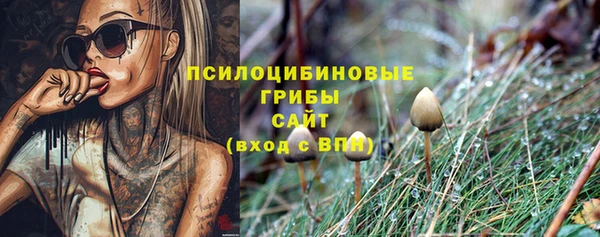 jwh Богородск