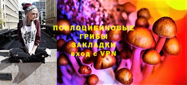 соль ск Богданович