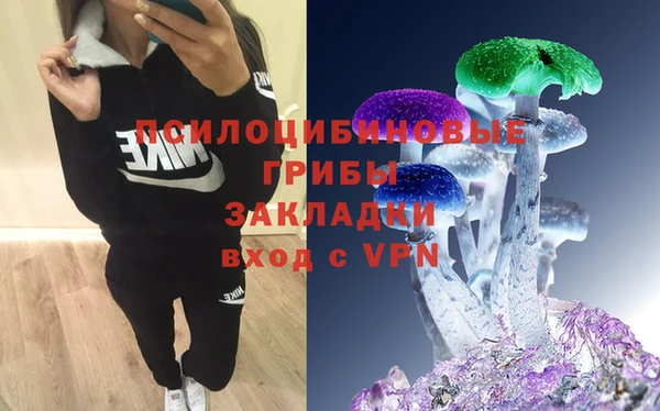 mix Богородицк