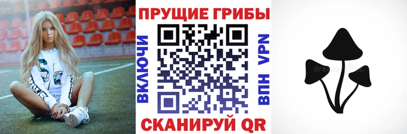 Псилоцибиновые грибы прущие грибы  Калуга 